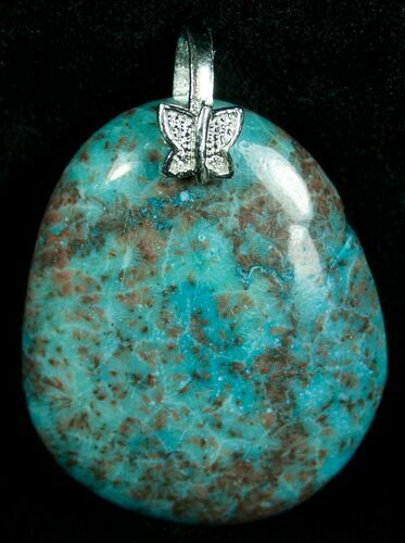 Blue Fossil Coral Pendant - Million Years Old #6003